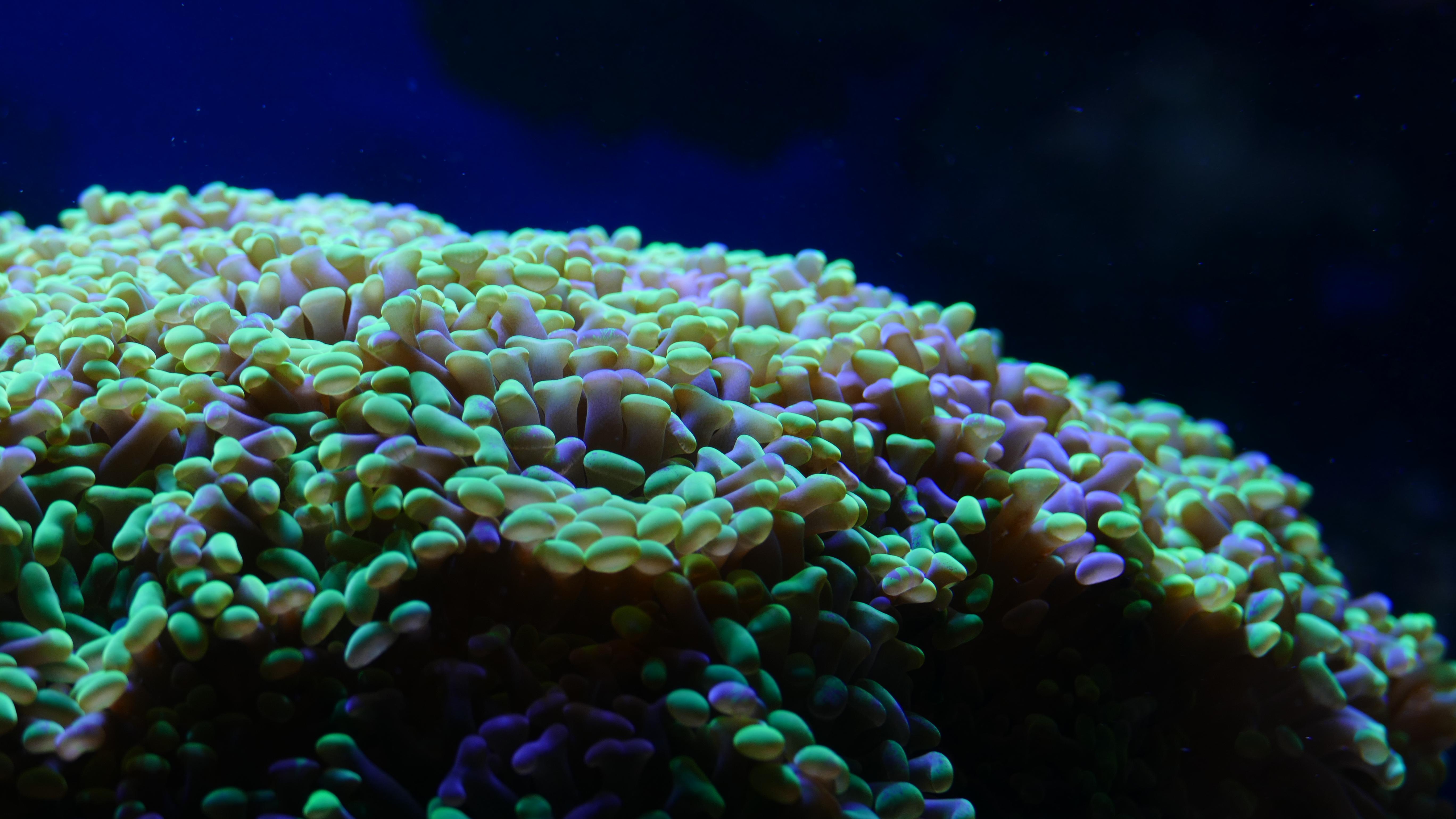 Unsplashed background img 3