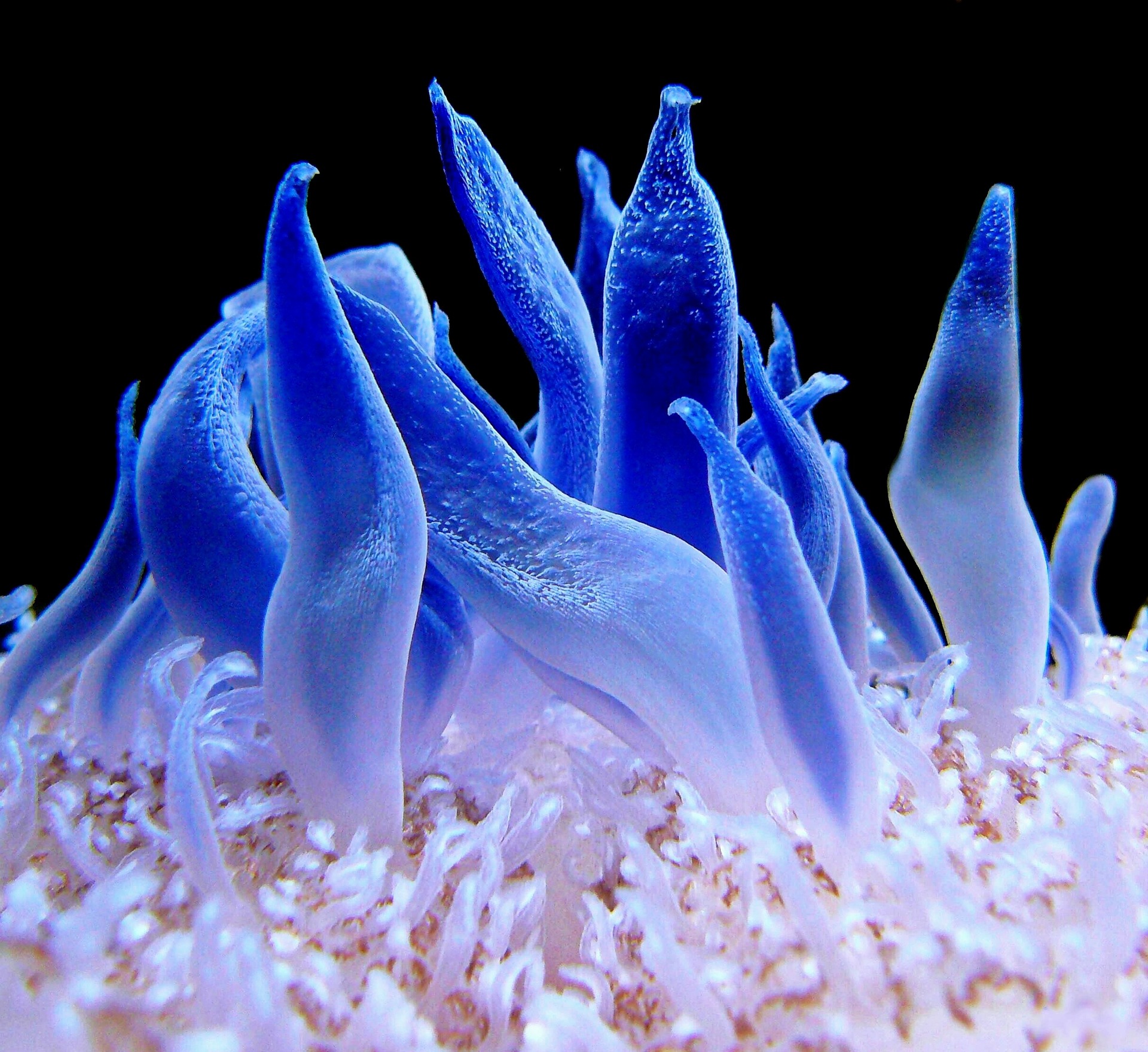 Unsplashed background img 2