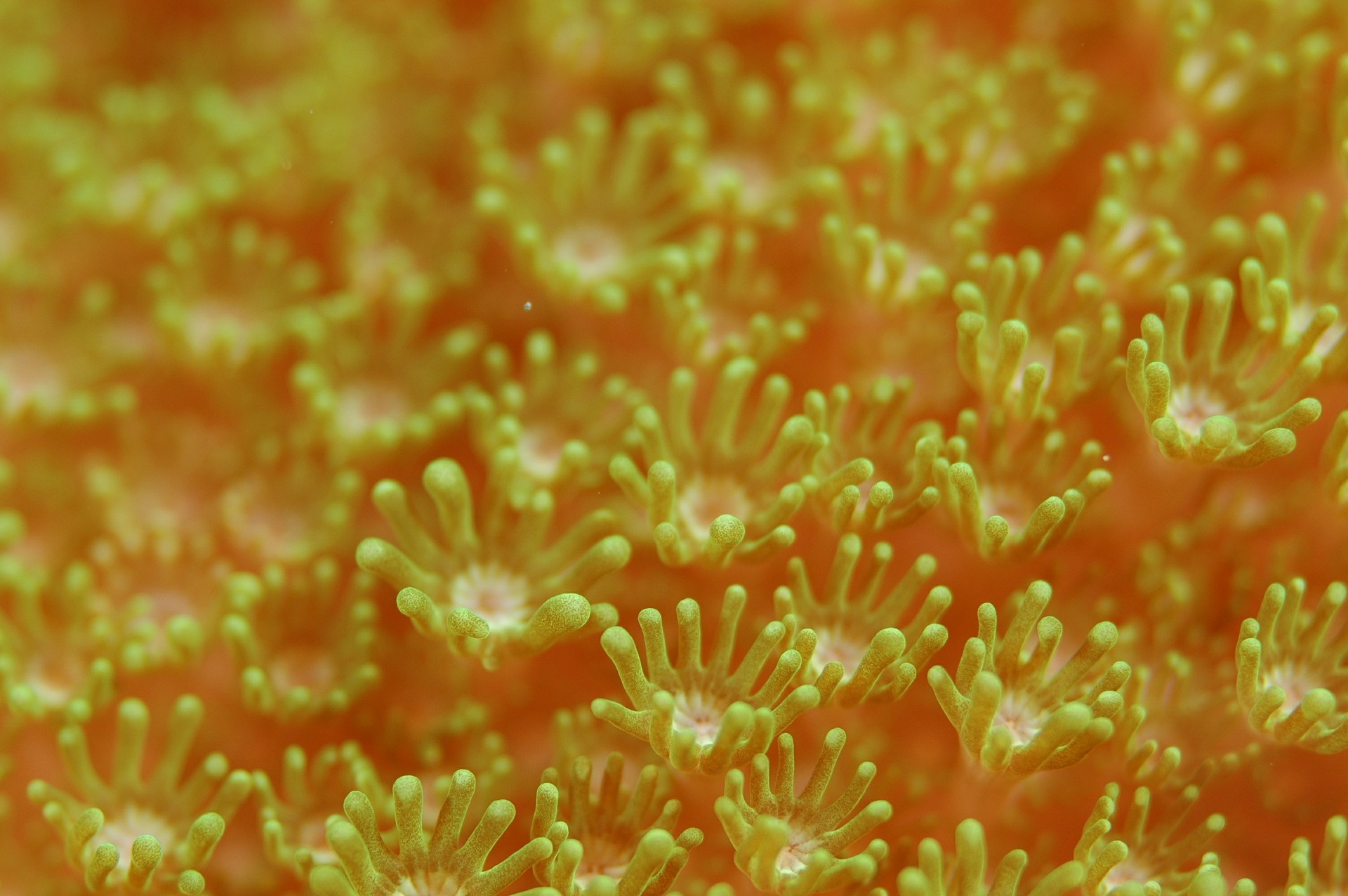 Unsplashed background img 1